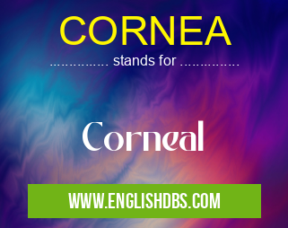 CORNEA