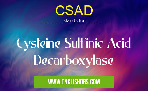 CSAD