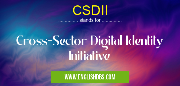 CSDII