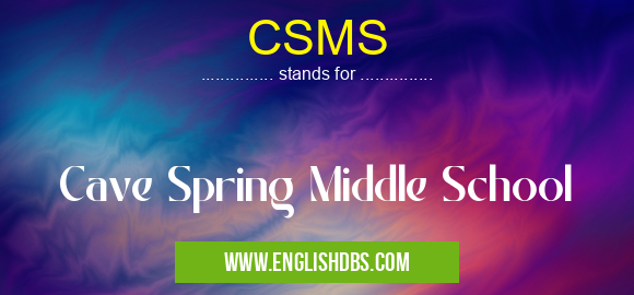 CSMS