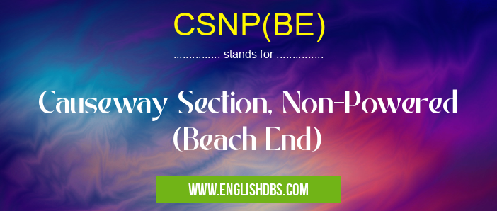 CSNP(BE)