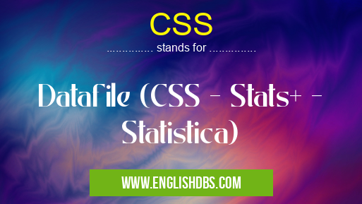 CSS