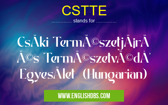 CSTTE