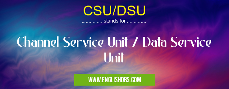 CSU/DSU