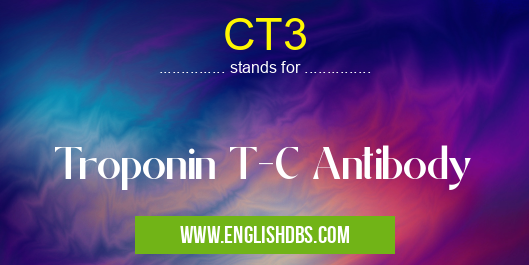 CT3