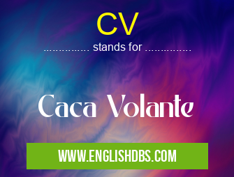 CV