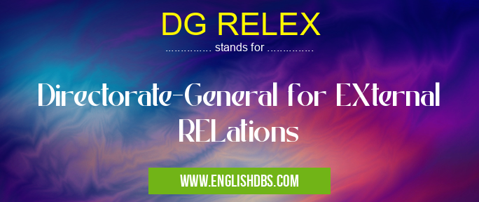 DG RELEX