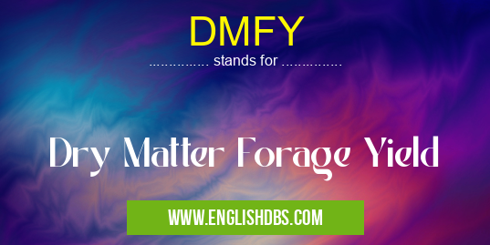 DMFY