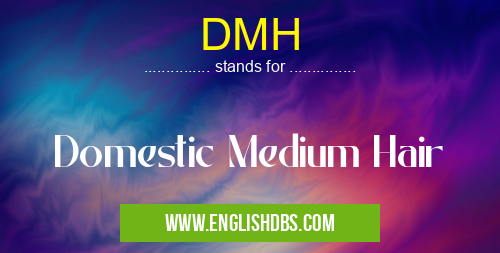 DMH