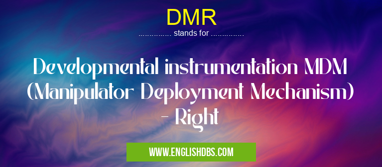 DMR