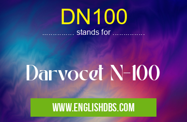 DN100