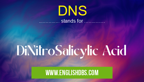 DNS