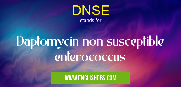 DNSE