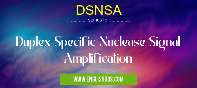 DSNSA