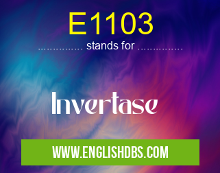 E1103