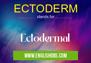 ECTODERM