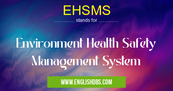 EHSMS