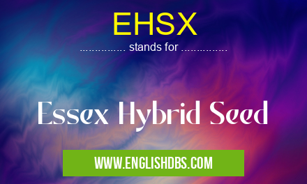 EHSX