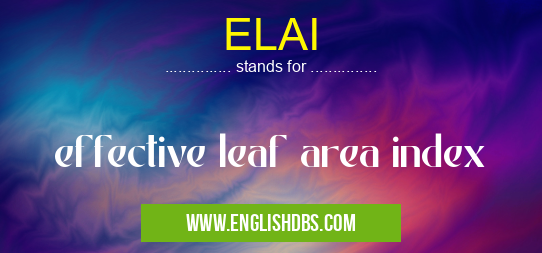 ELAI