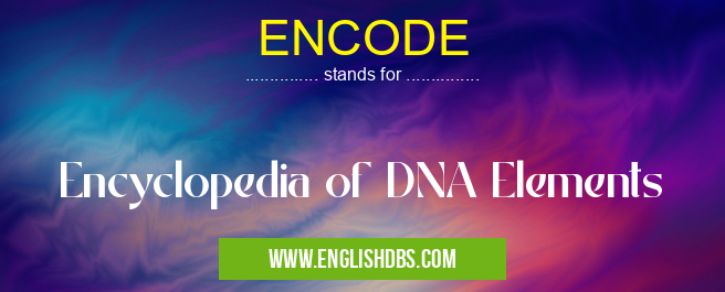 ENCODE