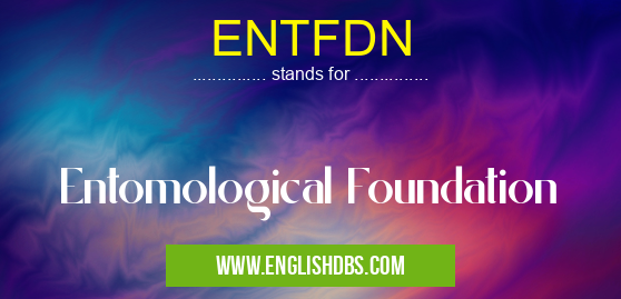 ENTFDN