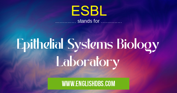 ESBL