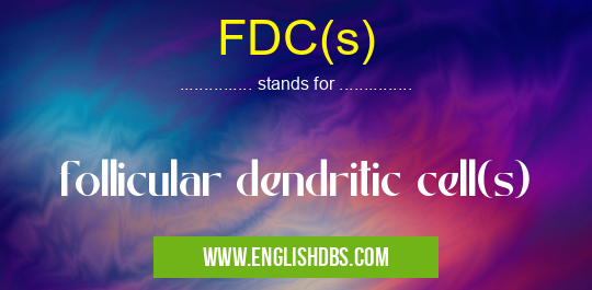 FDC(s)