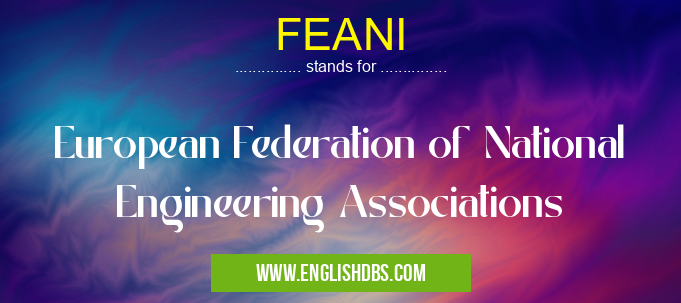 FEANI