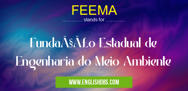 FEEMA