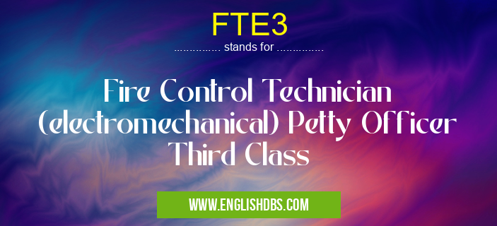 FTE3