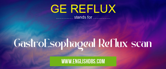 GE REFLUX