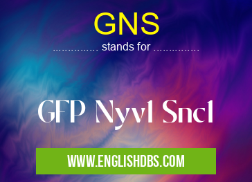 GNS