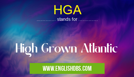 HGA