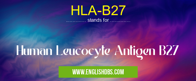 HLA-B27