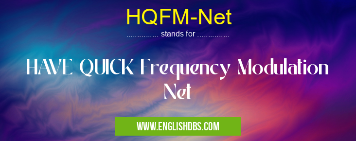 HQFM-Net