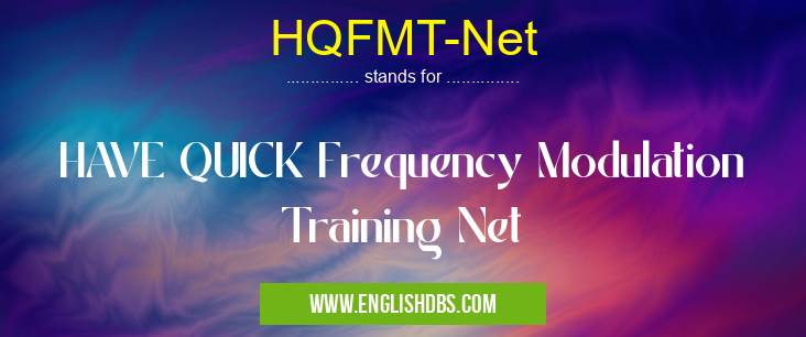 HQFMT-Net