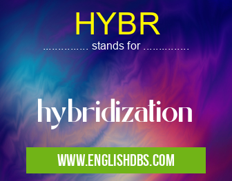 HYBR