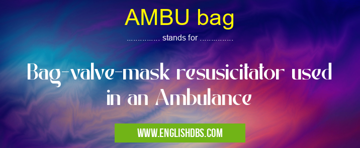 AMBU bag