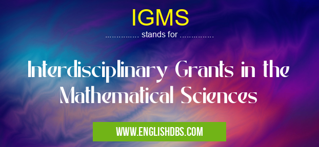 IGMS