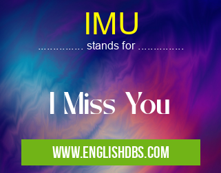 IMU