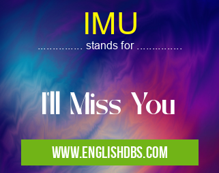 IMU