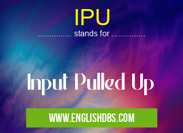 IPU