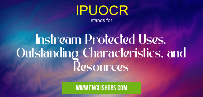 IPUOCR