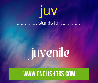 juv