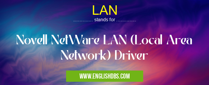 LAN