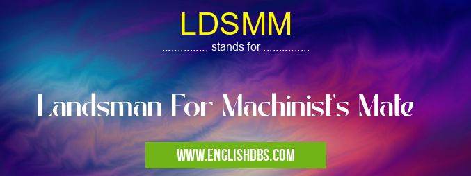 LDSMM