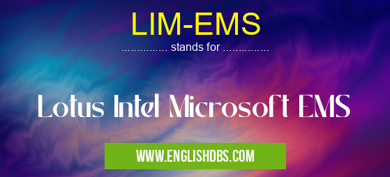 LIM-EMS