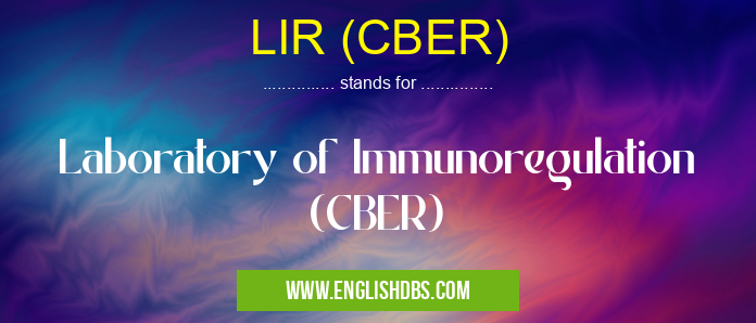 LIR (CBER)