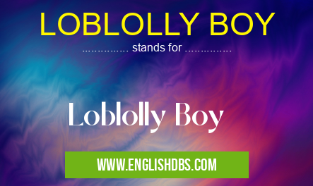 LOBLOLLY BOY