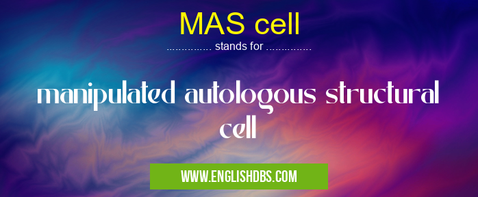 MAS cell